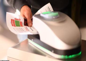 高效场地设计与规划